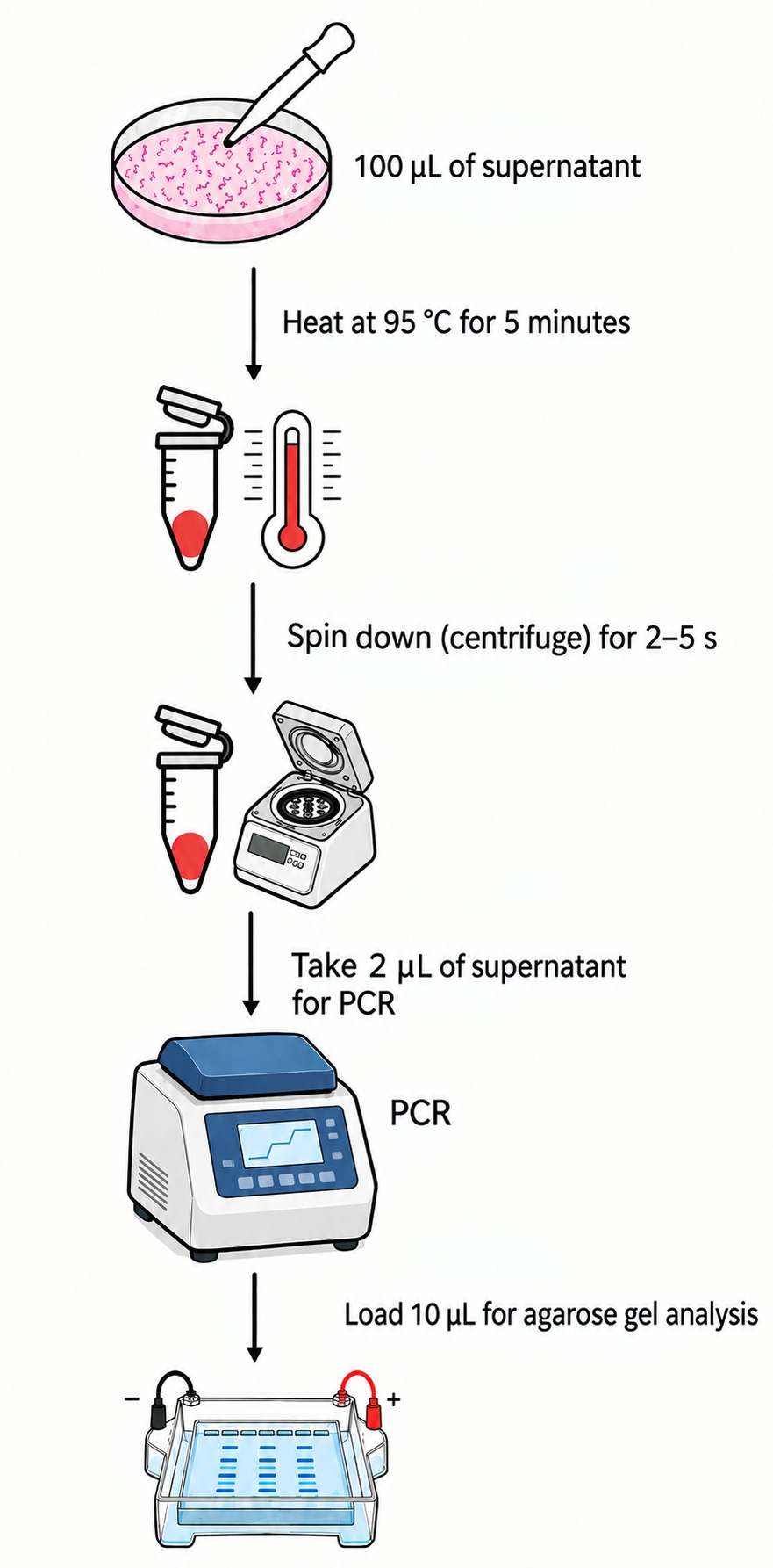Protocol diagram from LUPRIMA product information: culture supernatant, heat treatment, centrifugation, PCR and agarose gel